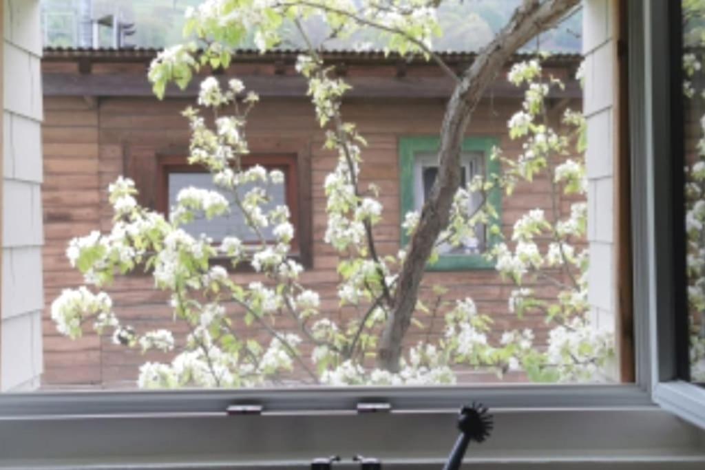 Schones Kleines Studio Mit Sitzplatz, Mitten Im Prattigau Jenaz Buitenkant foto